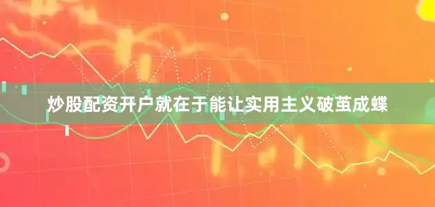 炒股配资开户就在于能让实用主义破茧成蝶